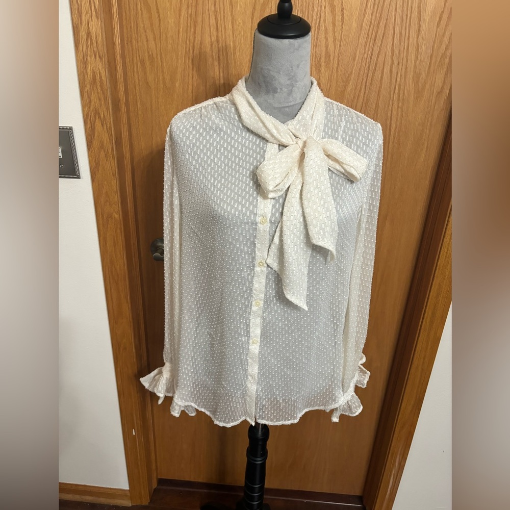Banana Republic Women’s Long Sleeve Sheer Tie Neck Button Down Blouse Size M